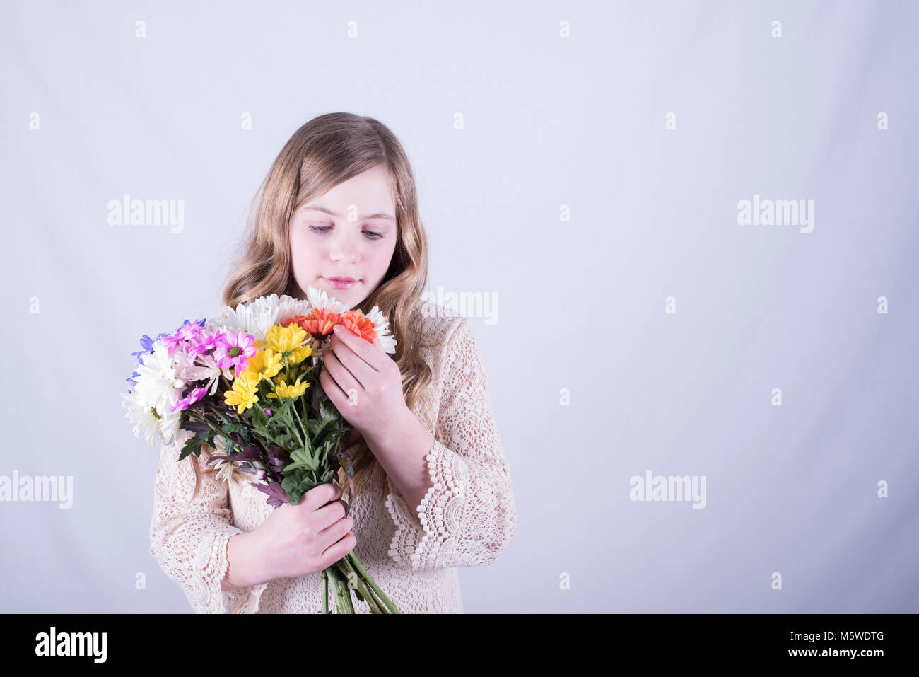 Twelve-year-old girl with long, dirty blonde hair looking at colorful bouquet of daisies and holding an orange daisy against white background Stock Photo