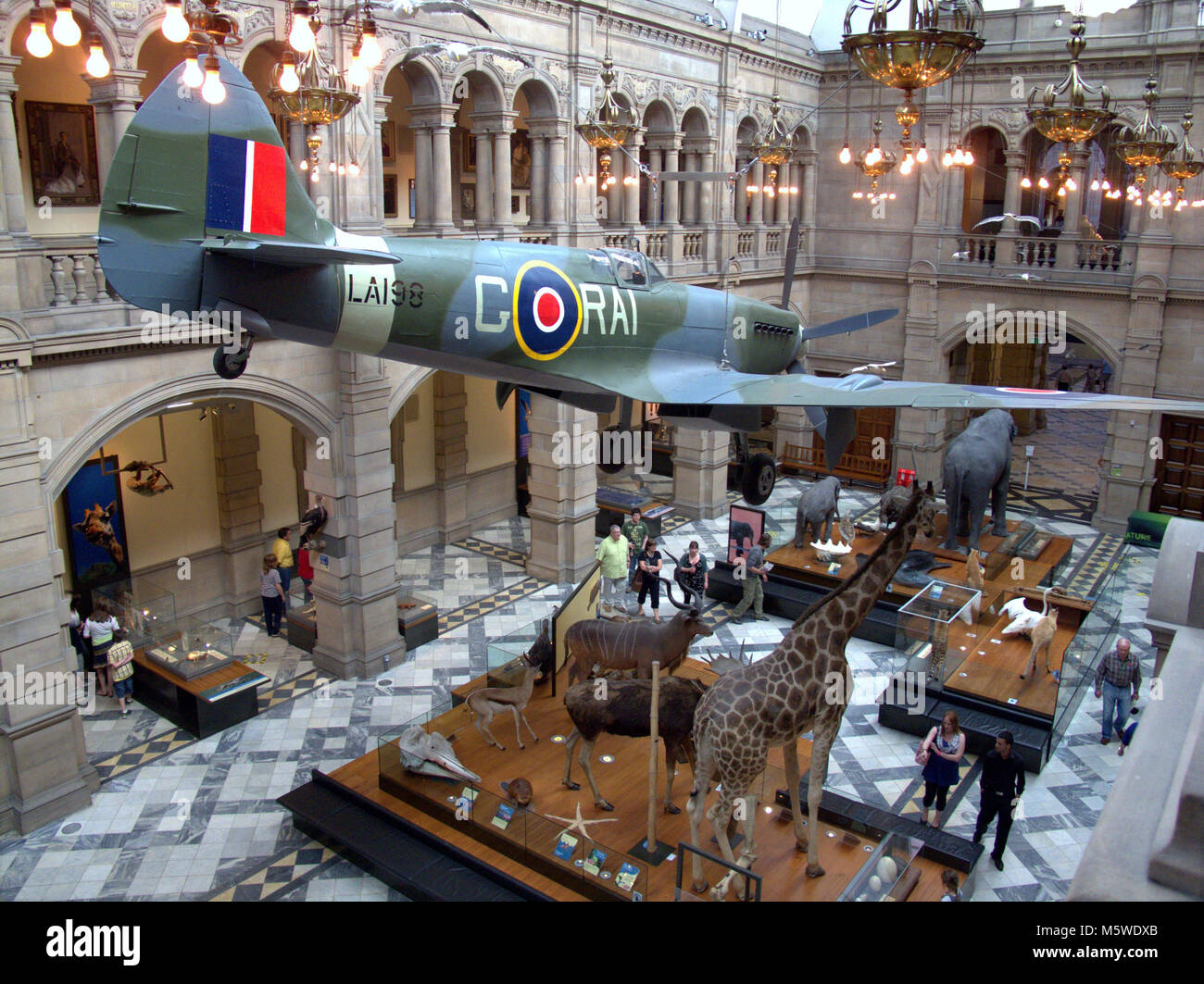 Kelvingrove Art Gallery and Museum “the Glasgow Spitfire” hanging from ceiling of one of the grand halls containing tourists wildlife animals exhibits Stock Photo