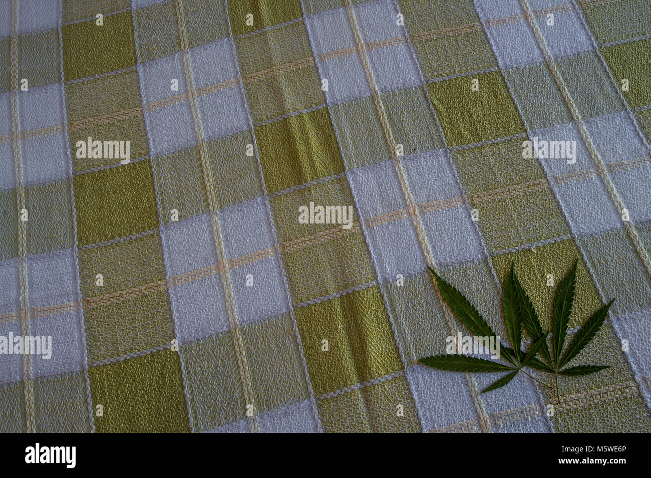 Pair of beautiful green marijuana leaves in checkered tablecloth of a picnic. Relaxing and natural background of a yellow fabric with space to add tex Stock Photo