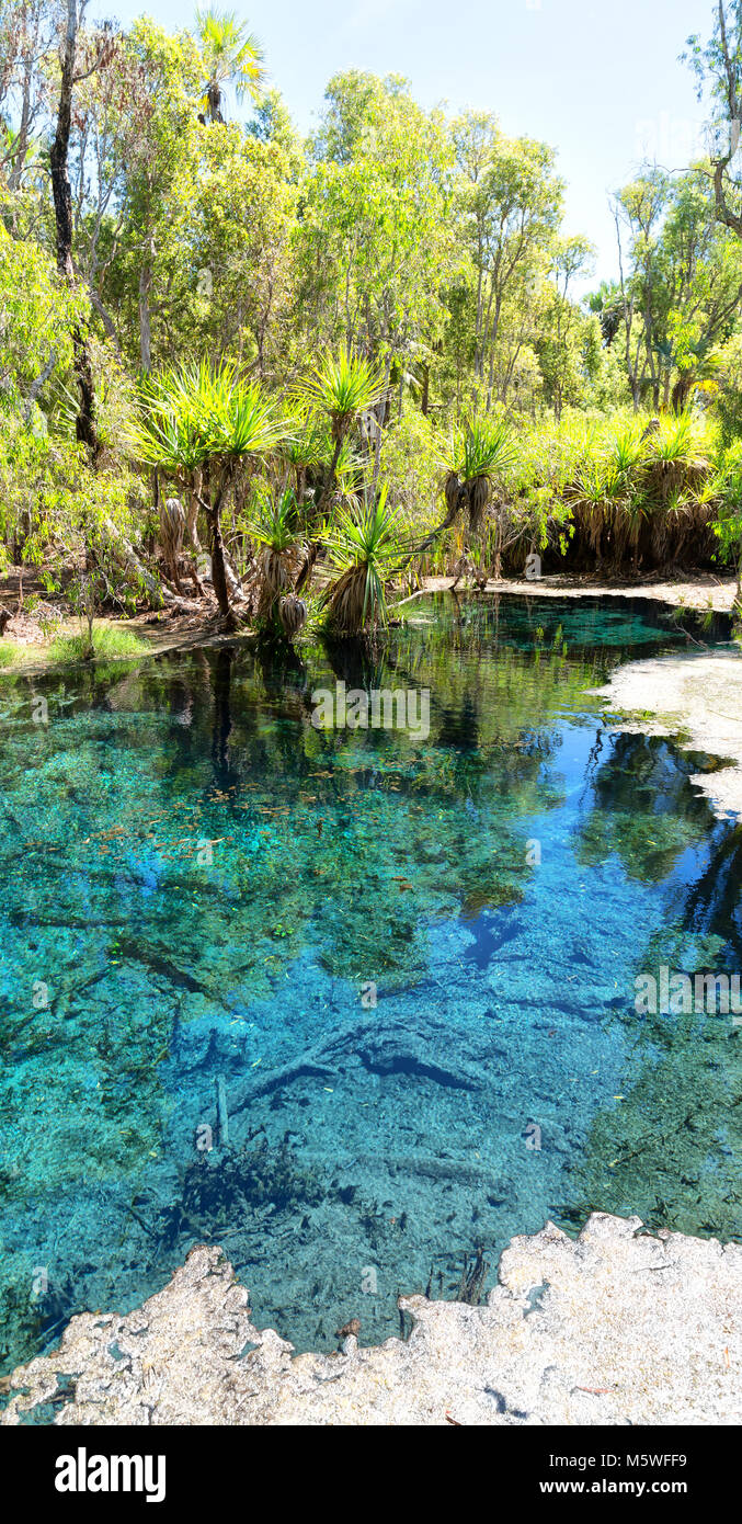 Roper river hot springs hi-res stock photography and images - Alamy