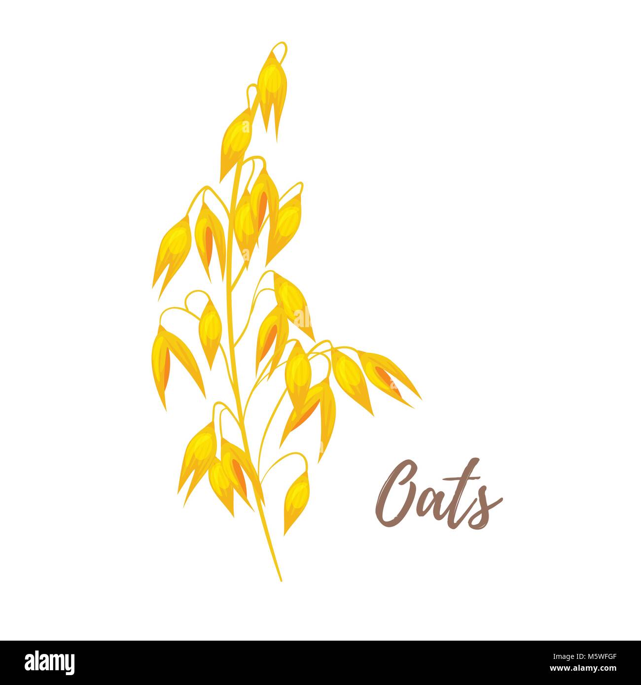 Oatmeal Vector Vectors Stock Photos & Oatmeal Vector Vectors Stock