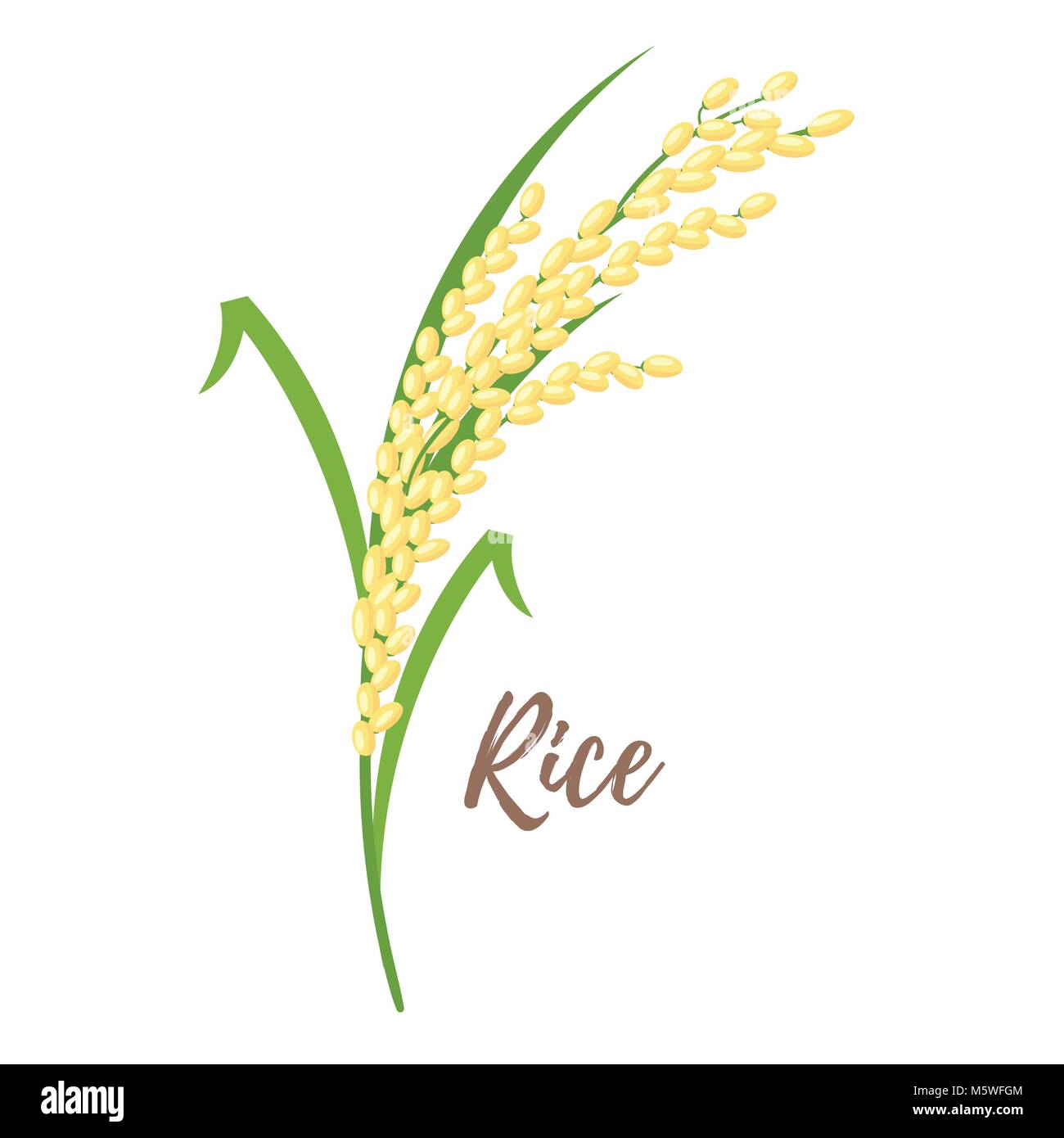 Vector cartoon style illustration of cereals rice. Grain plant