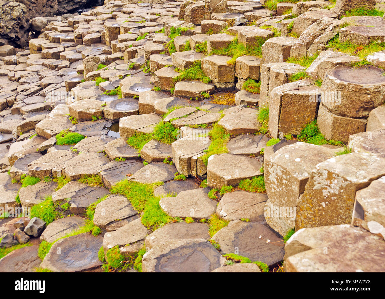 Details of the Columns in the Giant's Causeway in Northern Ireland Stock Photo