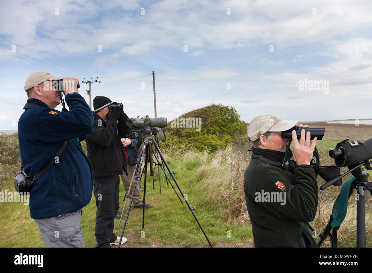 Bird watchers at spurn Stock Photo