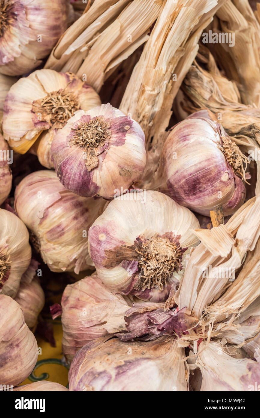 Garlic on the Market Stalls Apt Vaucluse Provence-Alpes-Côte d'Azur France Stock Photo