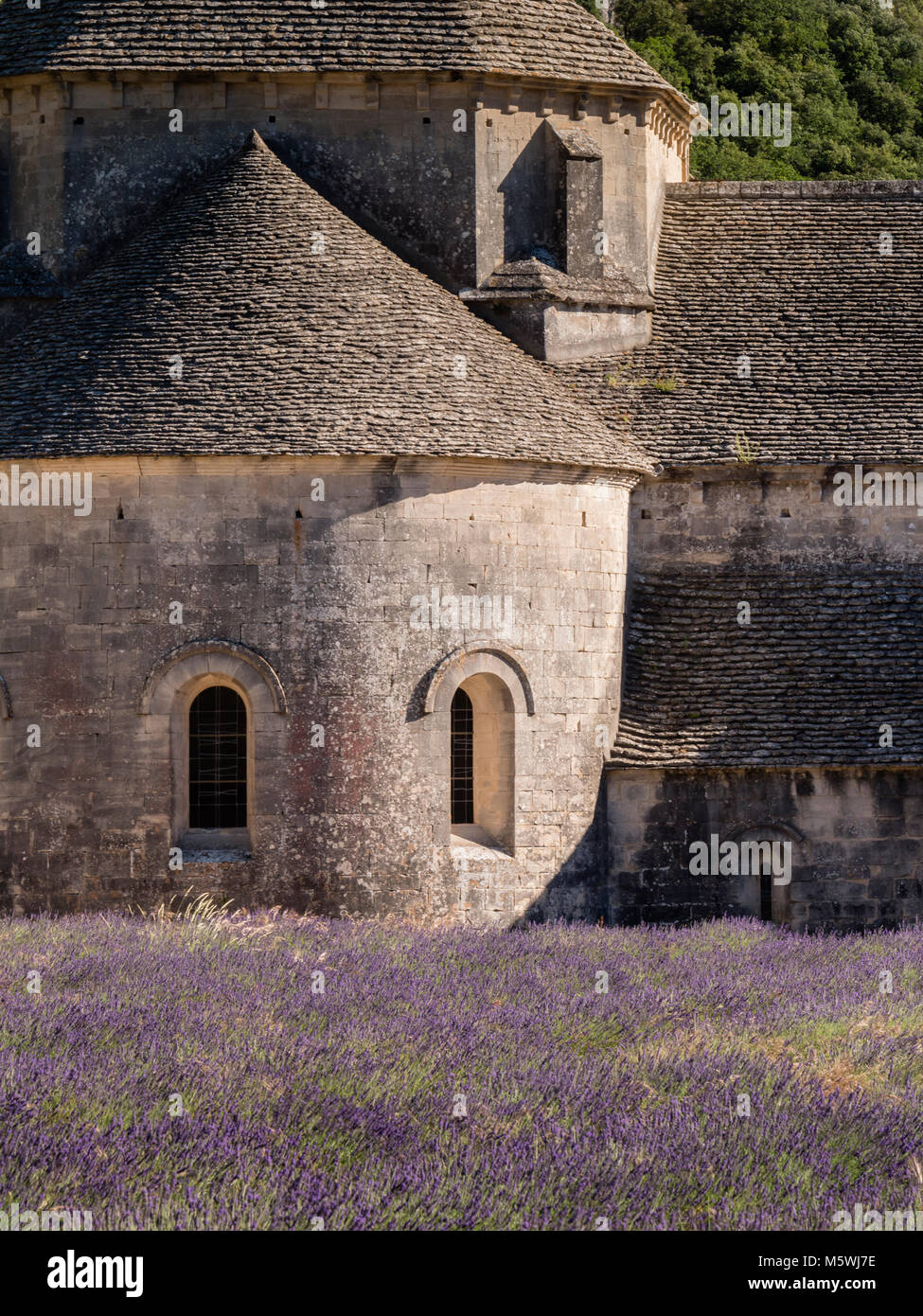Senanque Abbey with lavender fields near Gordes Vauclause Provence-Alpes-Cote d'Azur France Stock Photo