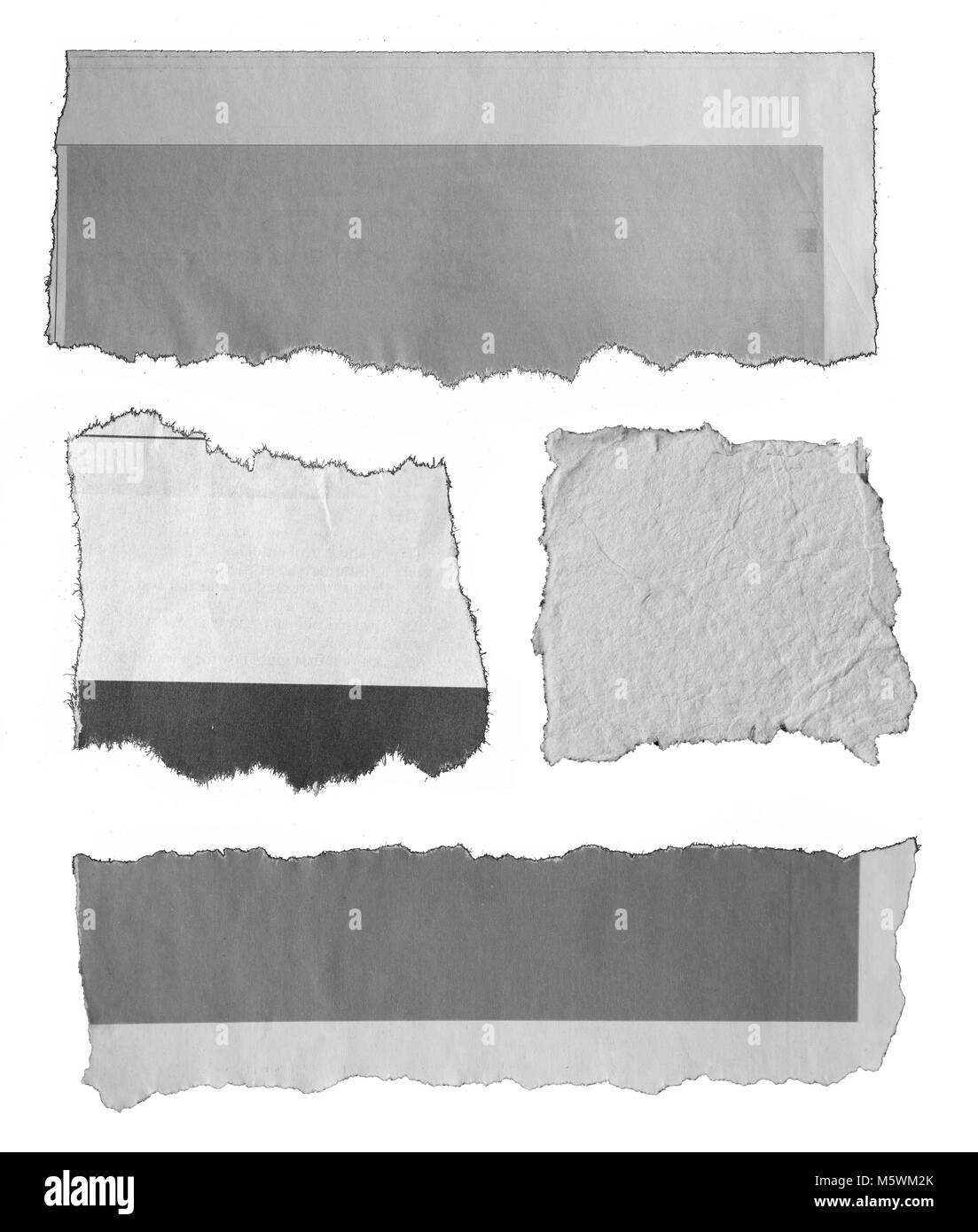Pieces of torn paper on plain background Stock Photo