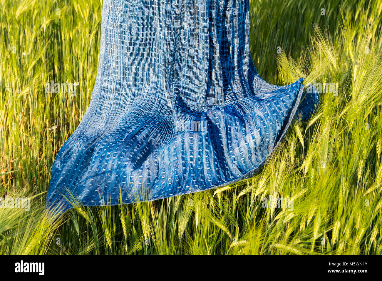 Romantic spring scene with skirt in barley field. Hordeum vulgare. Airy blue female dress in the green cornfield in beautiful sunny clear weather. Stock Photo
