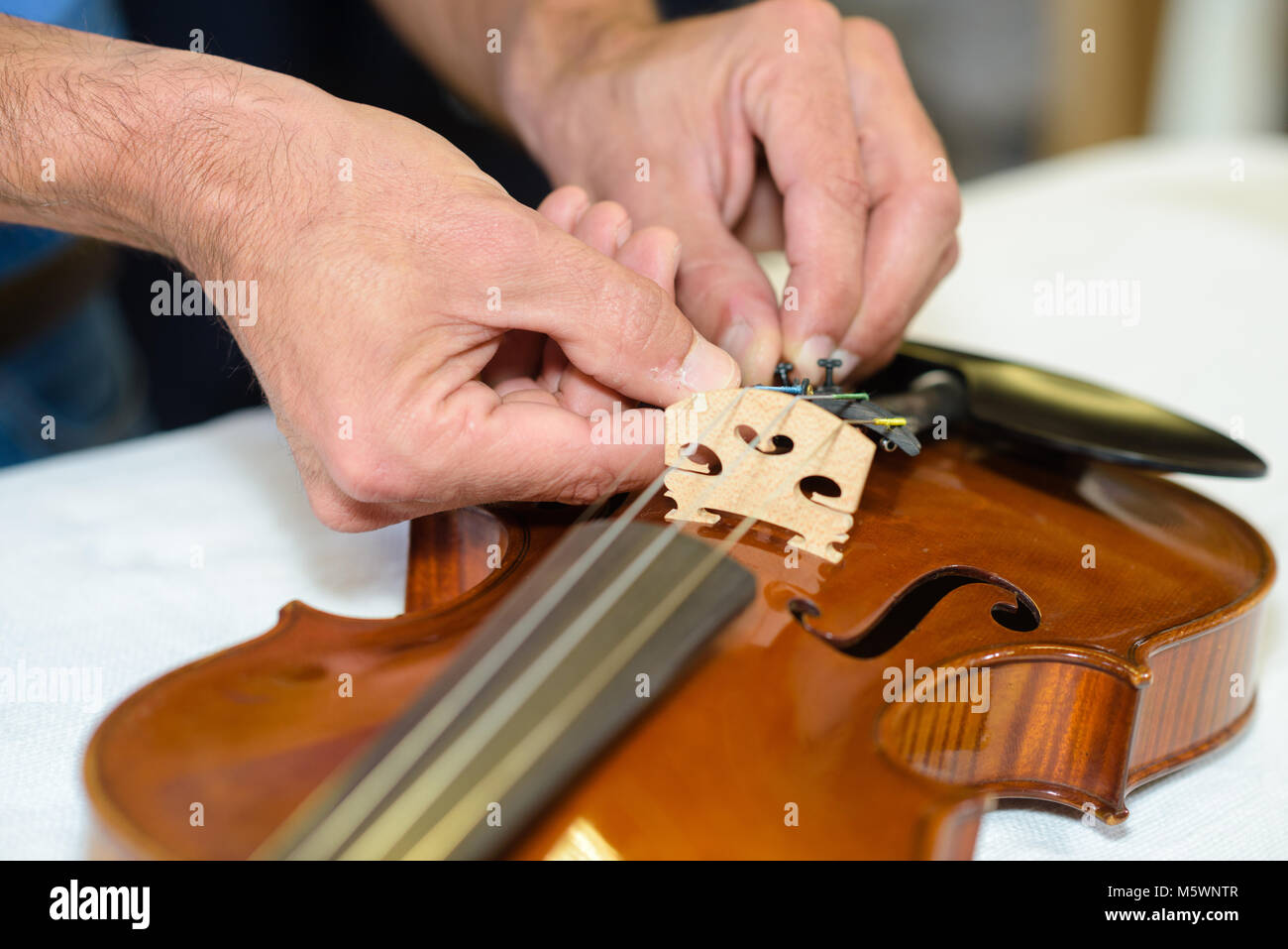 Violin repair hires stock photography and images Alamy