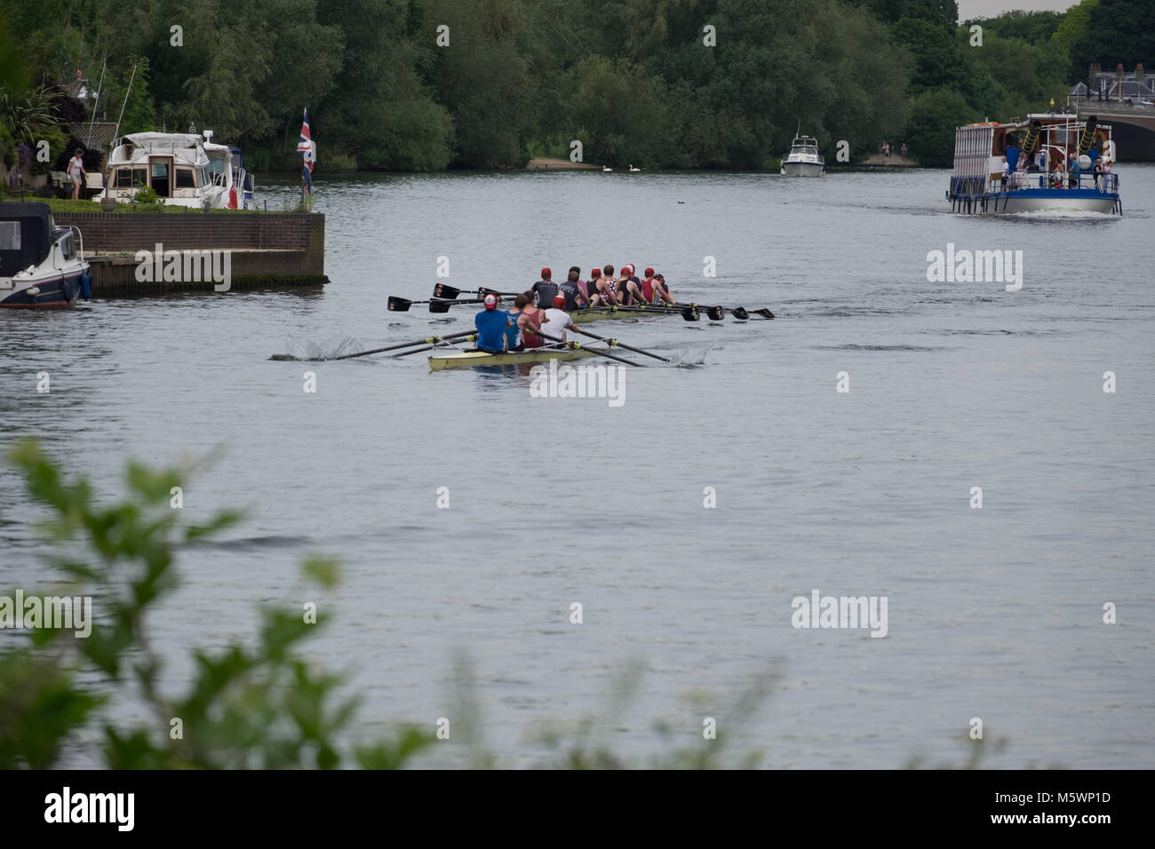 rowers on the river thames Stock Photo Alamy
