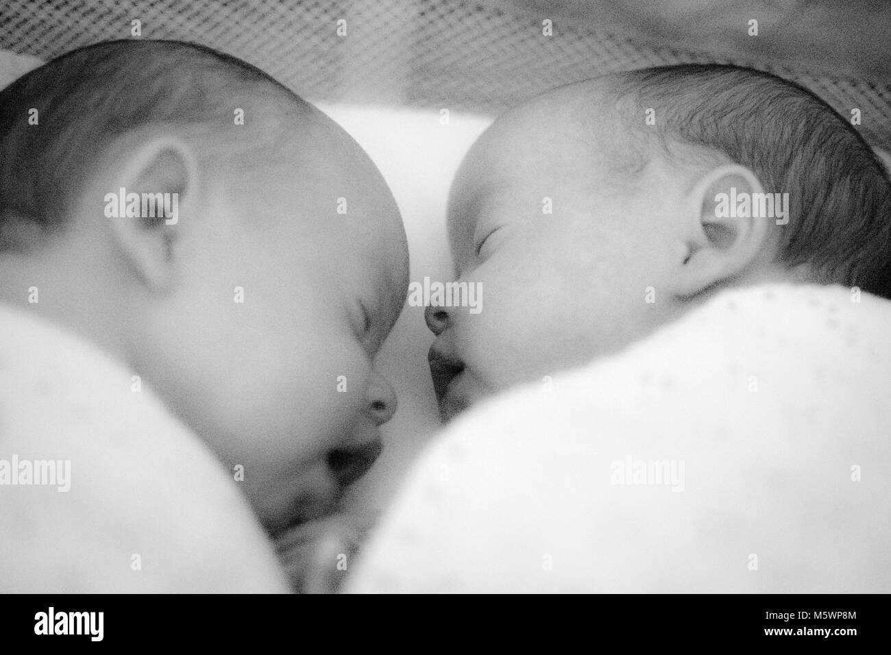 Twin Babies Black And White Stock Photos Images Alamy