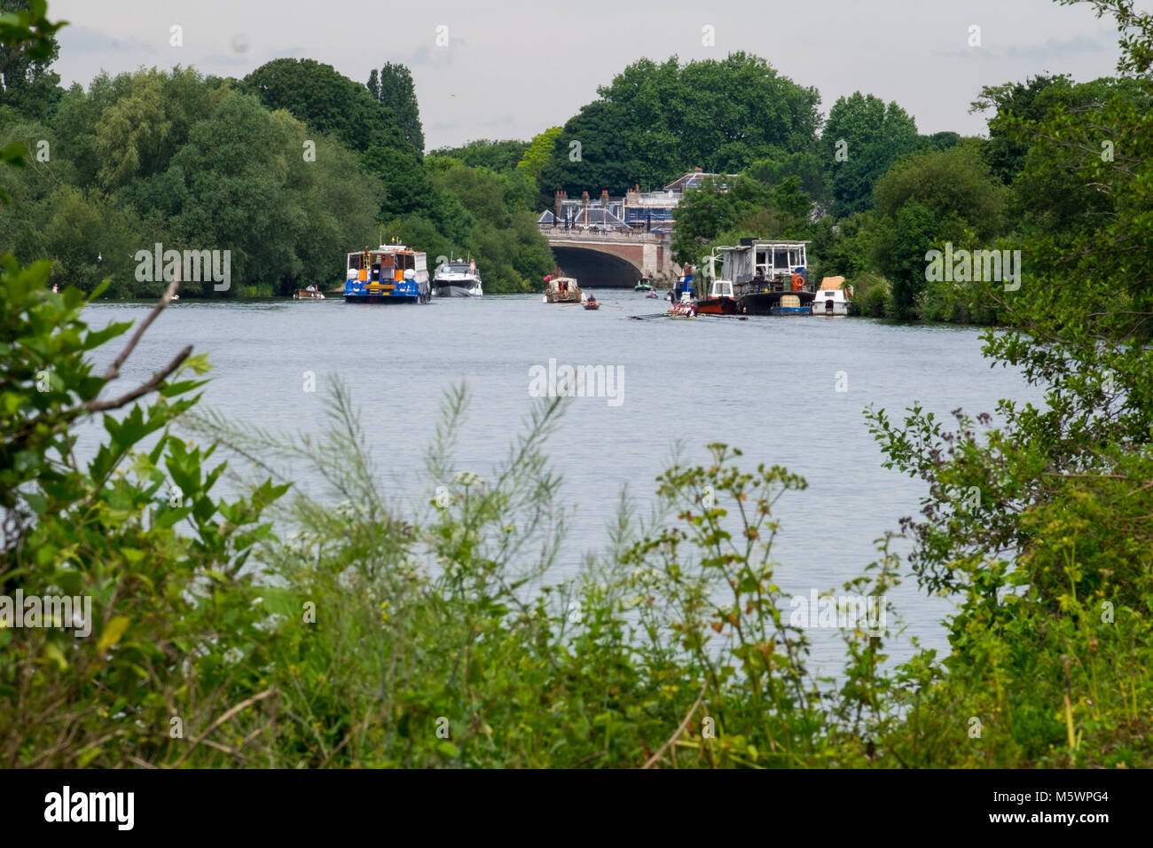 ferry boat on river thames Stock Photo Alamy