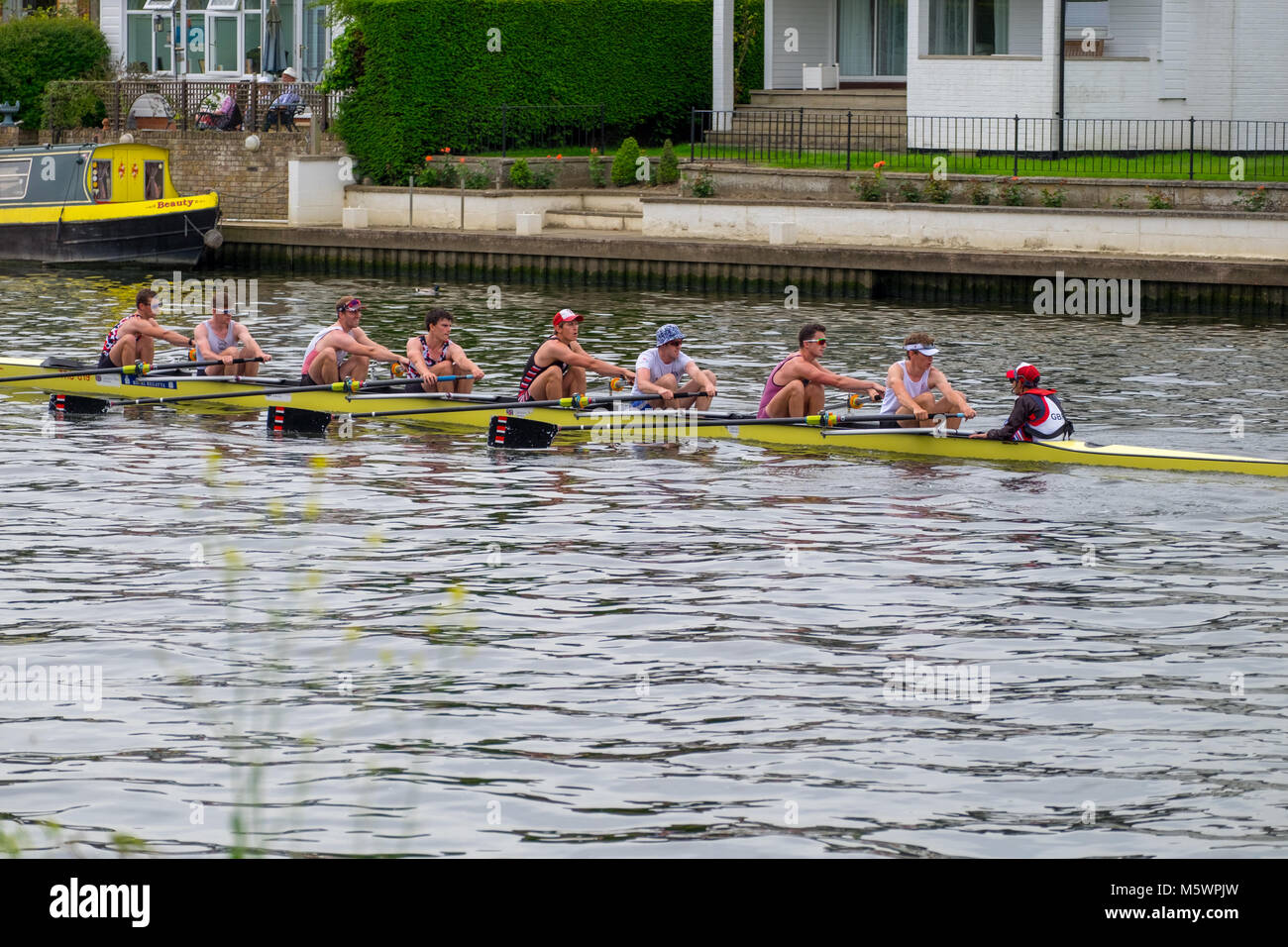 rowers on the river thames Stock Photo Alamy