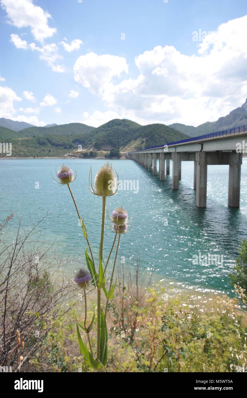 Long concrete bridge over a lake towards mountains with cloudy overcast sky and thistles in foreground. Taken in Northern Spain Stock Photo