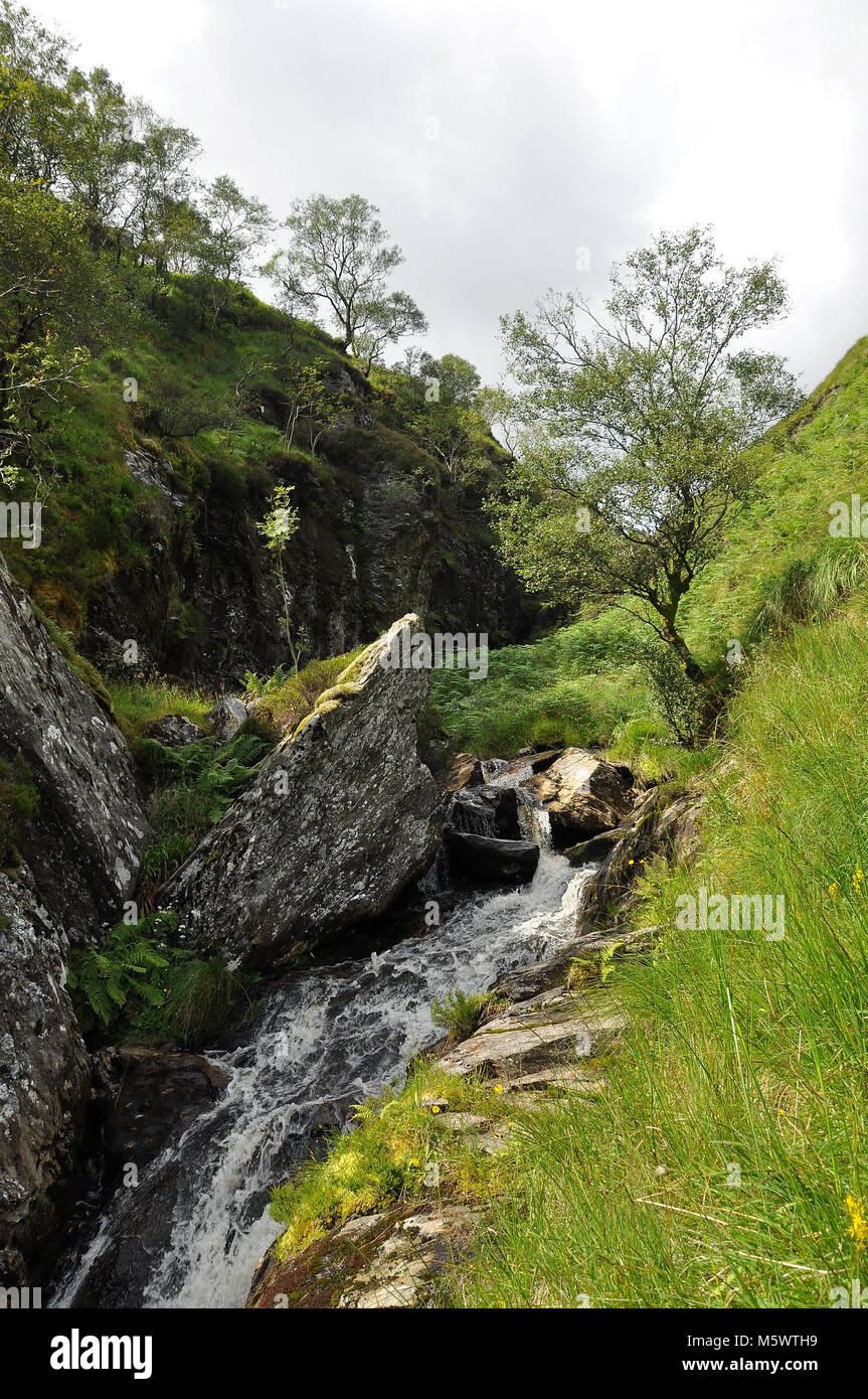 Mountain top waterfall in Scotland with rocky gorge, fast flowing water, trees, grassland and clouds. Stock Photo