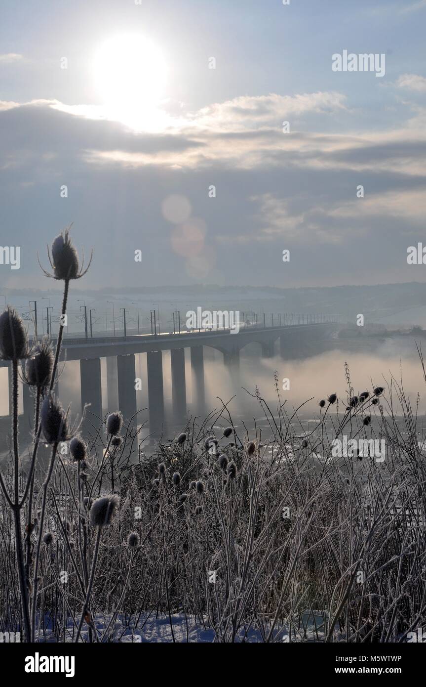 Medway Bridge at sunrise and early morning with sunrise and misty, cold weather with thistles in foreground. Cuxton, Kent on a cold winters morning Stock Photo