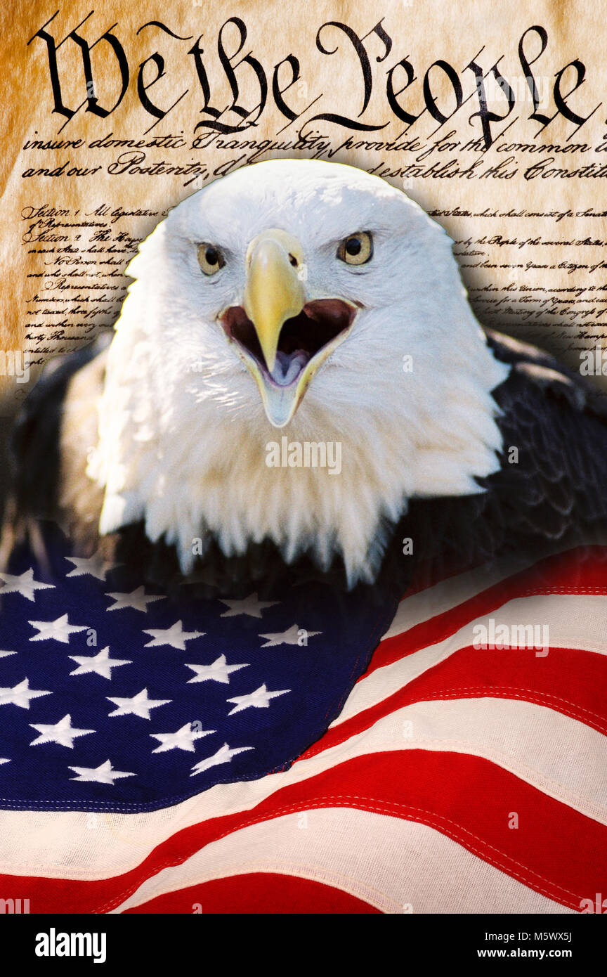 Constitution of America, We the People with bald eagle and American flag  Stock Photo - Alamy, image size:864x1390