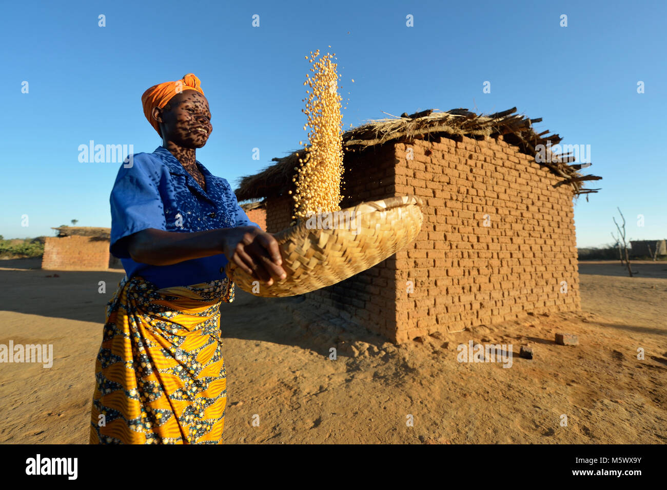 Frances Mtonga winnows corn in Chibamu Jere, Malawi. Stock Photo