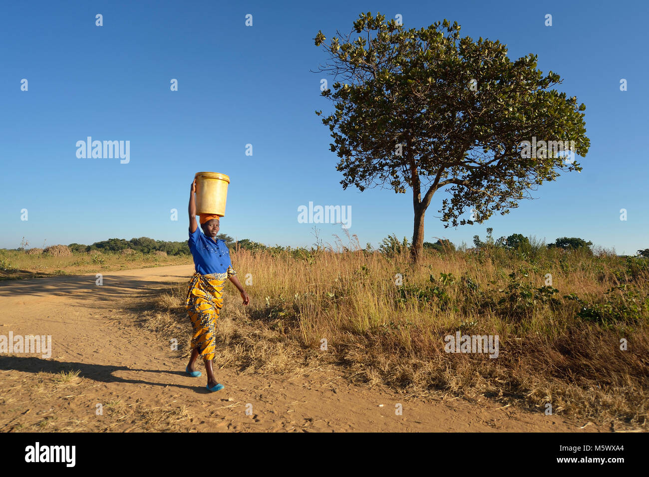 Frances Mtonga carries water from a community well to her home in Chibamu Jere, Malawi. Stock Photo