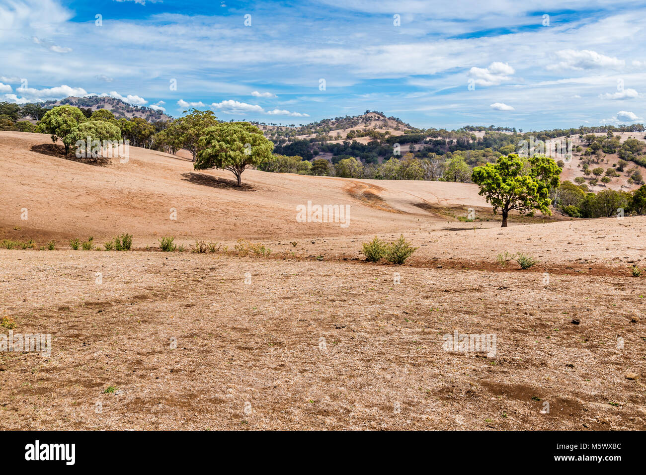 Land affected by drought in the Upper Hunter Valley, NSW, Australia