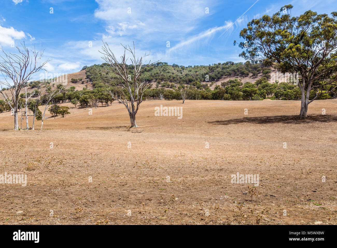 Land affected by drought in the Upper Hunter Valley, NSW, Australia. Stock Photo