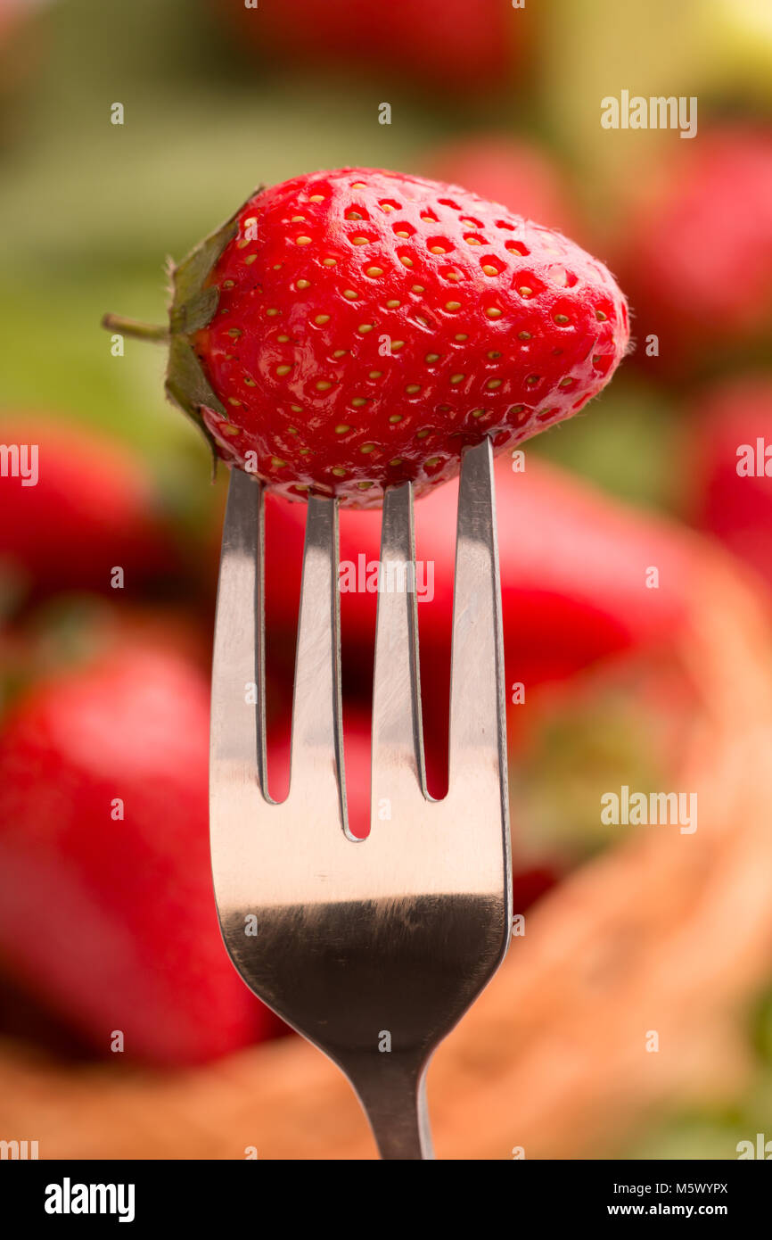 Strawberry, shot with a macro lens Stock Photo - Alamy