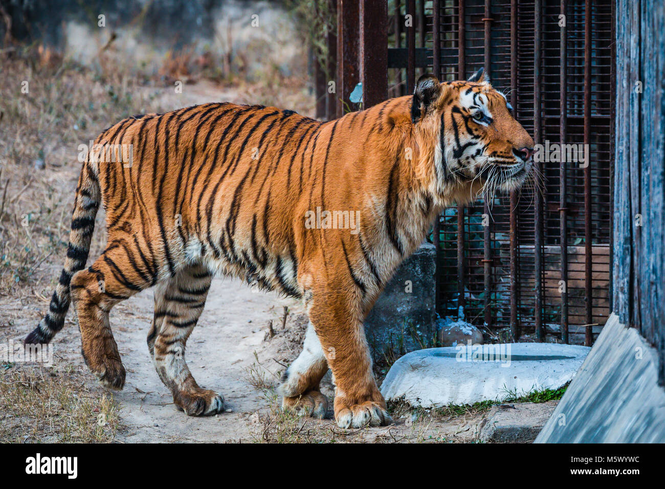 National Zoological Park, New Delhi, India Stock Photo