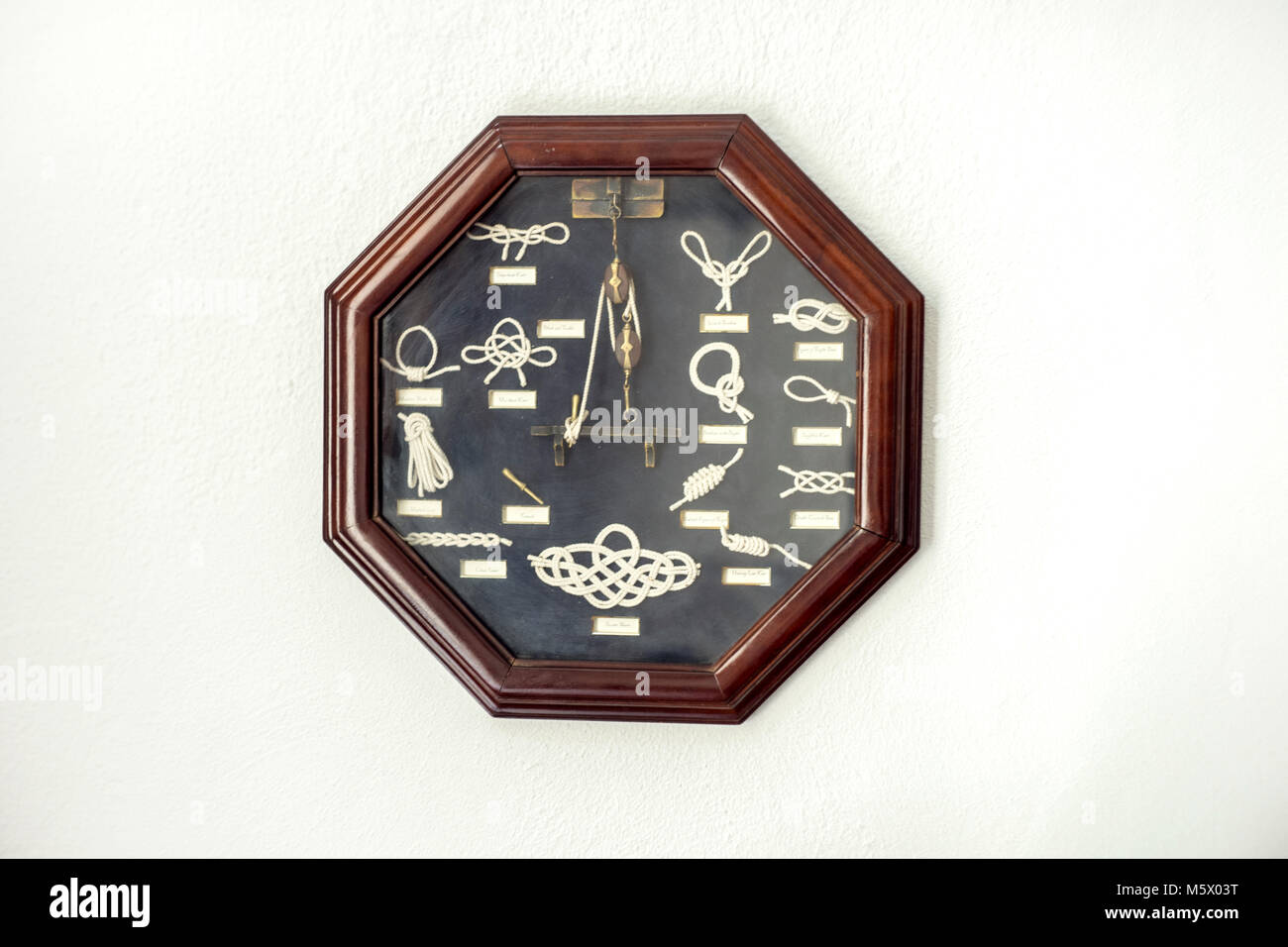 Variety of sailing knots in one frame on white wall Stock Photo Alamy