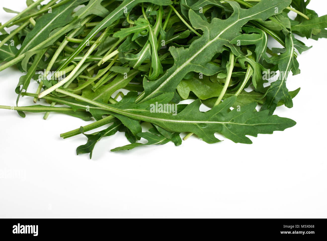 green fresh ruccola isolated on white background, close up studio shot ...
