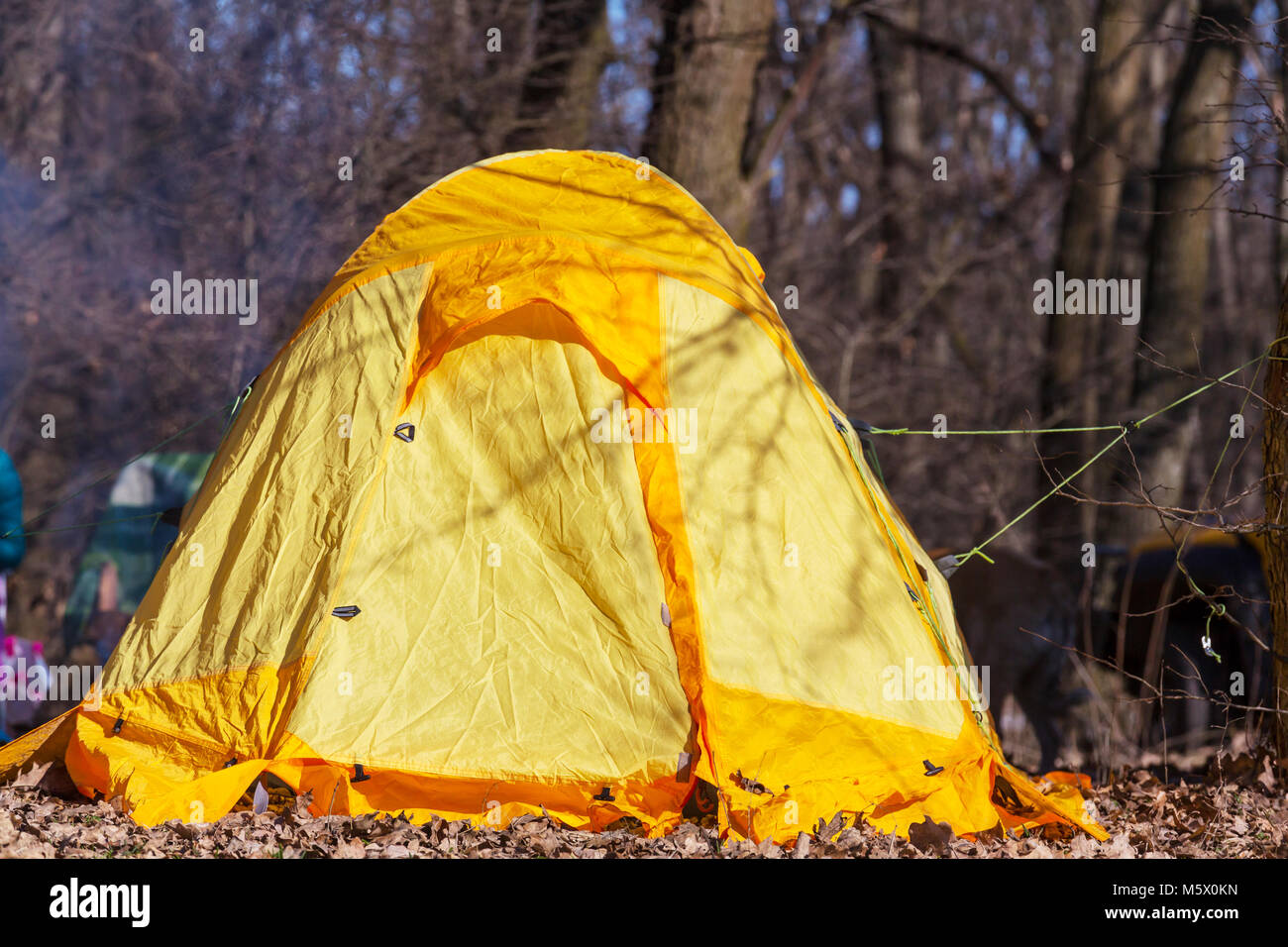 tent in the forest Stock Photo - Alamy