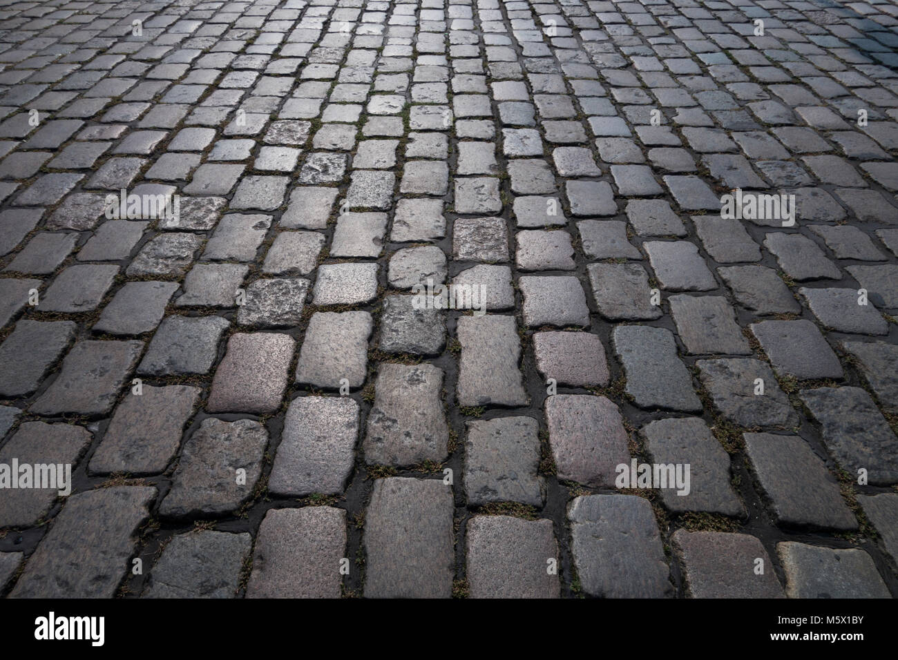 Closeup of cobblestones Stock Photo