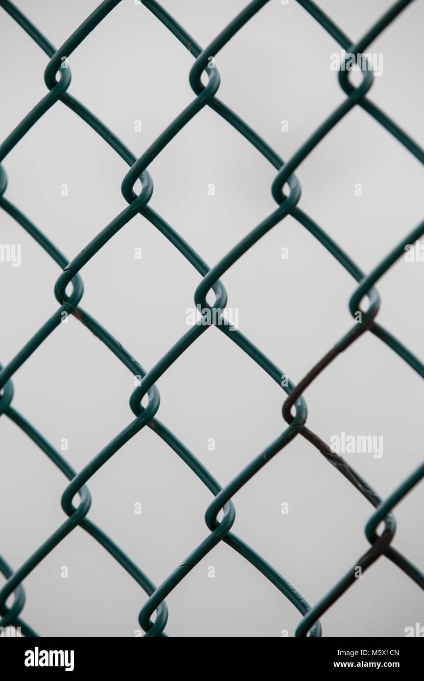 Close up of a metal chicken wire fence Stock Photo