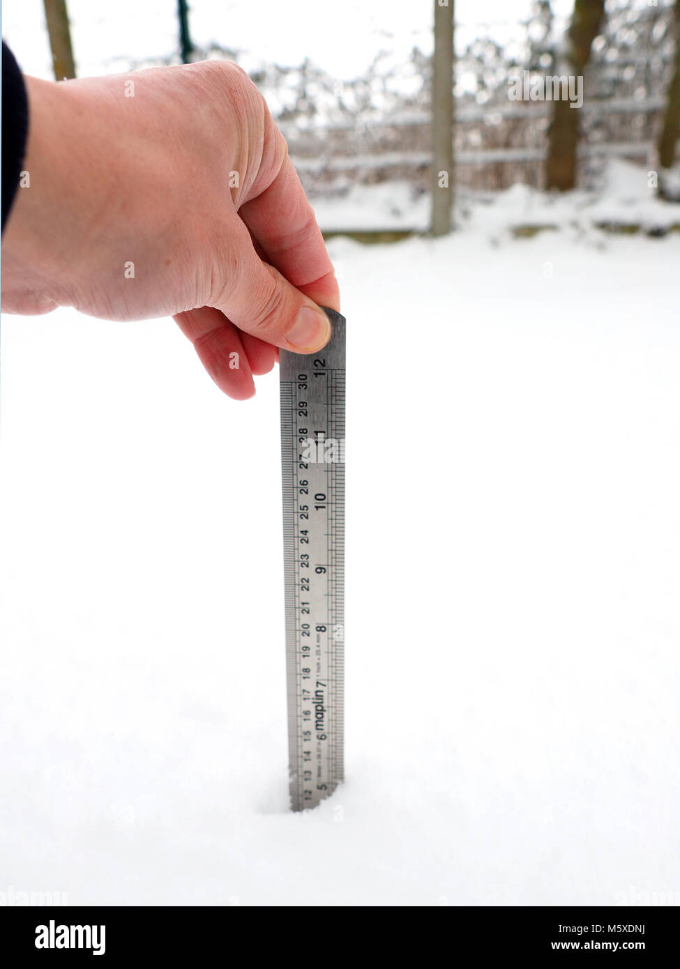 Sheerness, Kent, UK. 27th Feb, 2018. UK Weather: as the ruler shows 5 inches  or 12.5cm of snow has fallen overnight, as measured at 10am, in the back  garden of a house