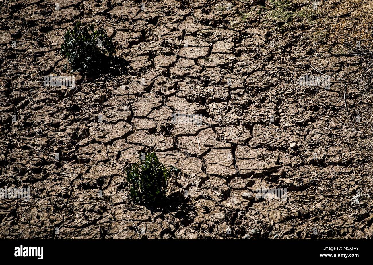 Suelo árido en Moctezuma. Ruta de la Sierra. Sonora Mexico. 25enero2018 (Foto:Luis Gutierrez/NortePhoto) pclaves: arido, desierto, desertico, Stock Photo