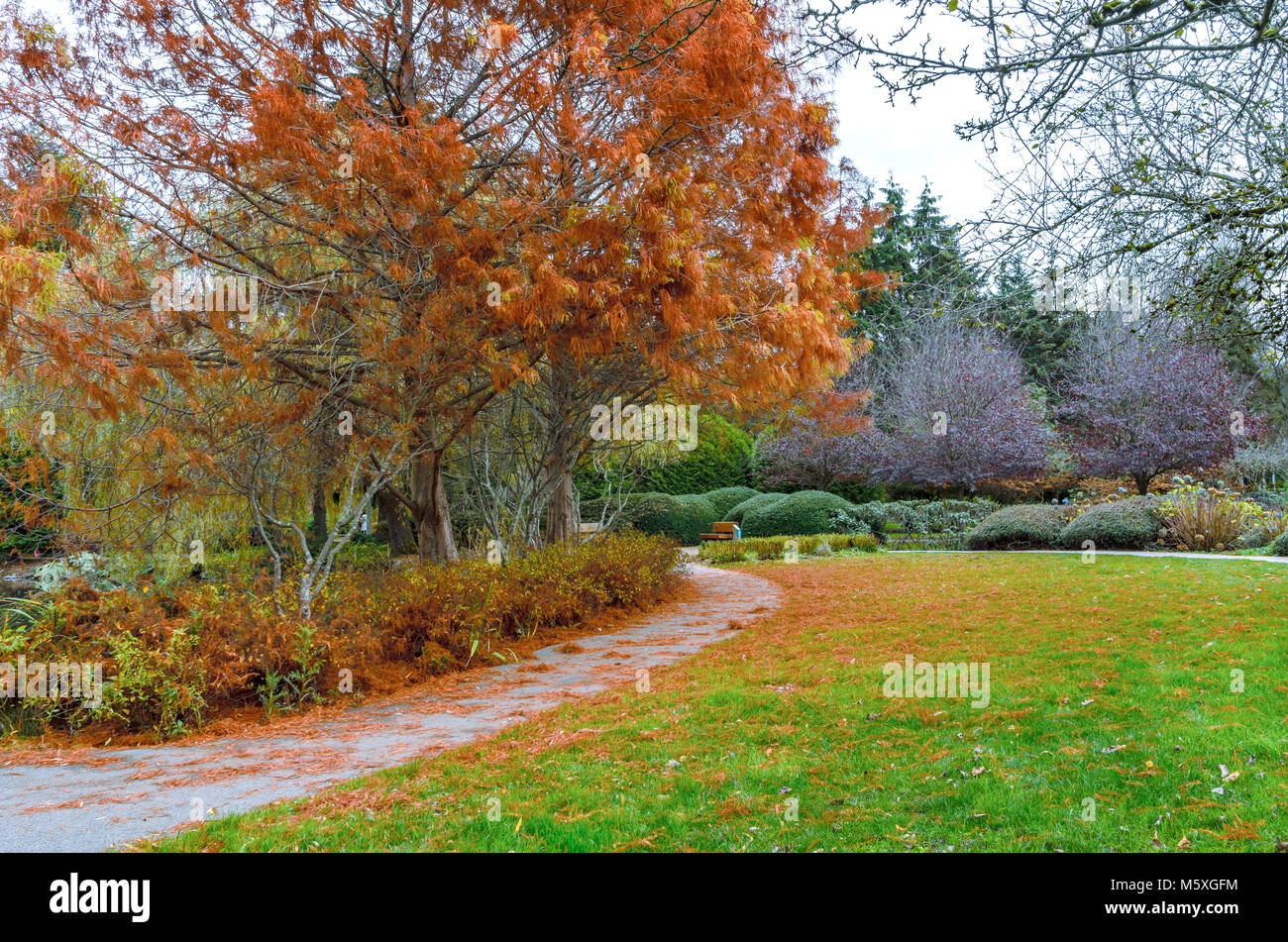 city park on a fall day with red-brown leaves on trees and green grass, bushes, a bench and a footpath Stock Photo