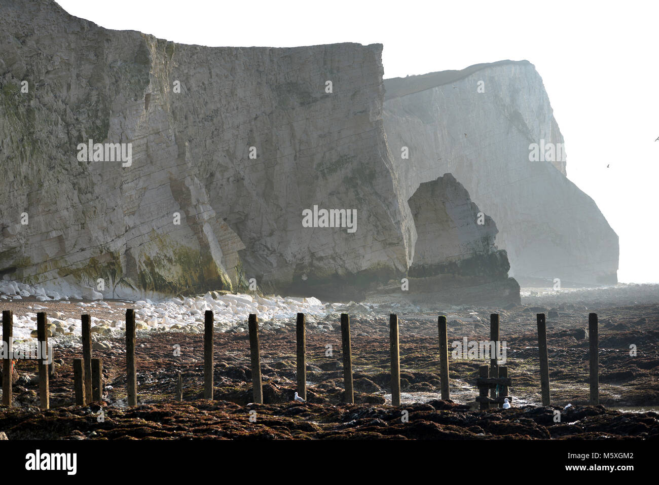 Chalk cliffs in Seaford, UK on a bleak winter morning Stock Photo