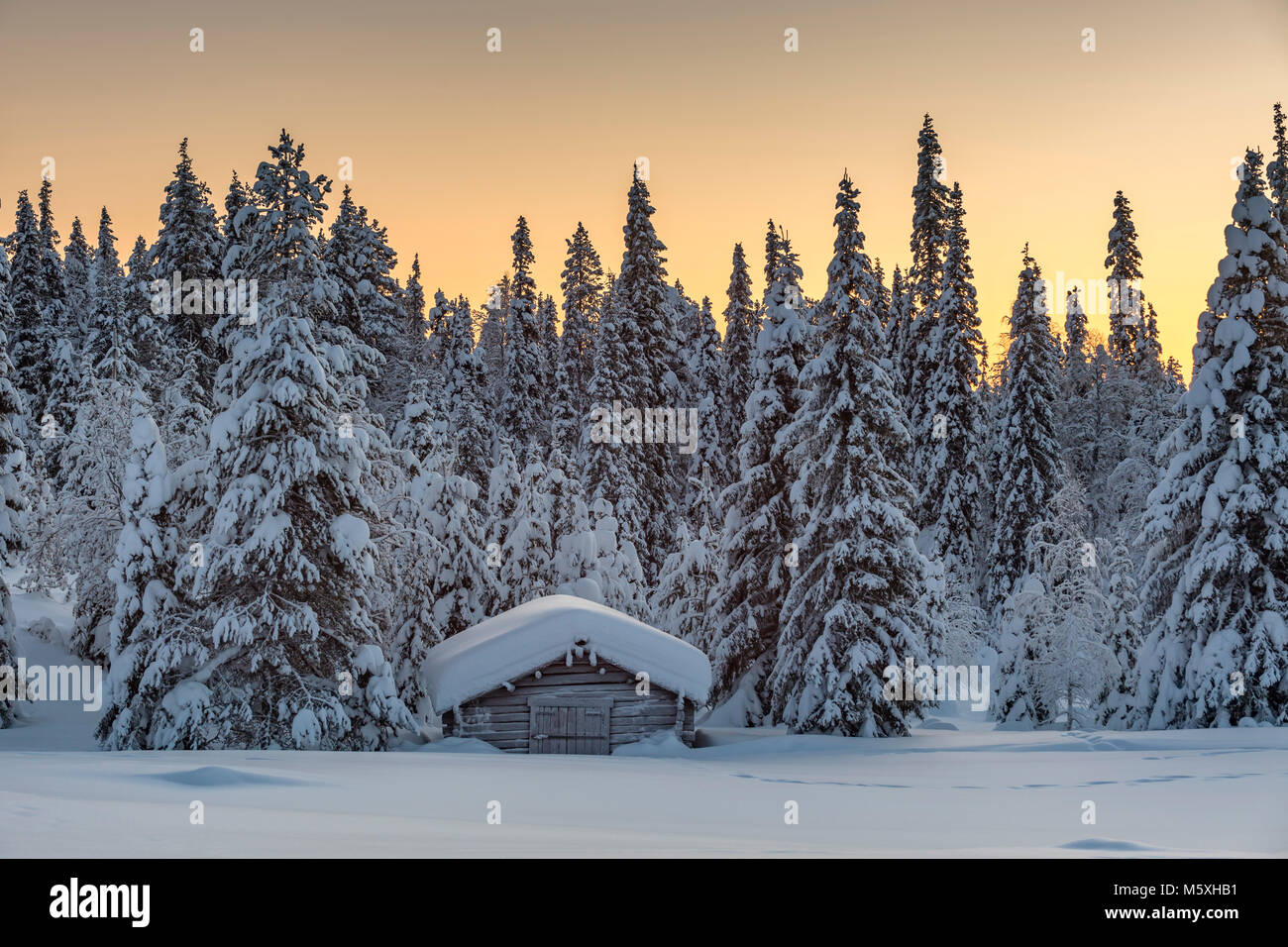 Snow-covered hut in winter landscape, morning atmosphere, Pallastunturi, Pallas-Yllästunturi National Park, Muonio, Lapland Stock Photo