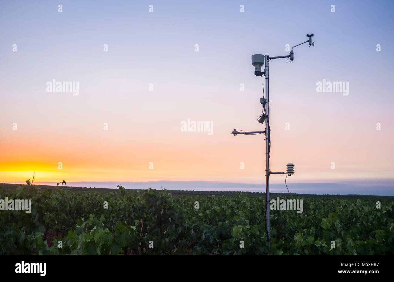 Drive weather recording instruments in a vineyard at Tierra de Barros Region. Extremadura, Spain. smart farm technology concept Stock Photo