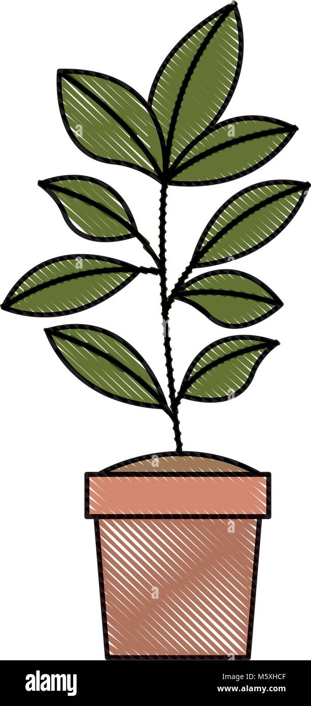 cute leafs in pot decorative icon Stock Vector Image & Art - Alamy