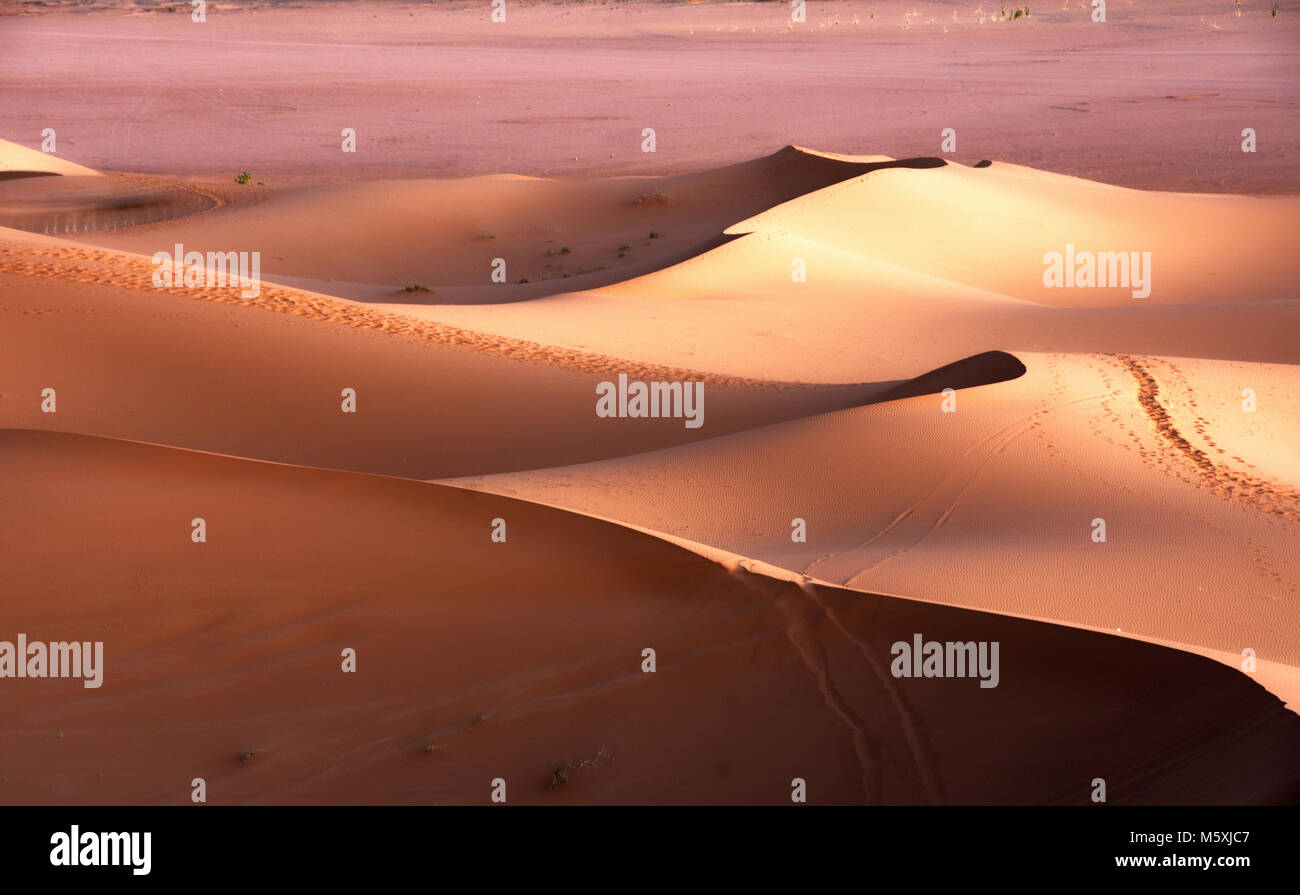 Sahara sand dune Morocco Stock Photo