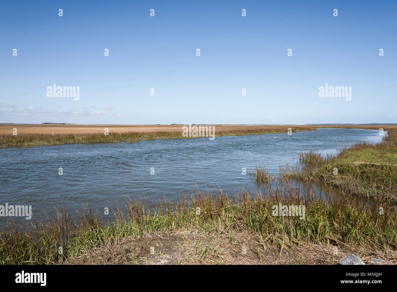 Brunswick River Marsh USA Stock Photo Alamy