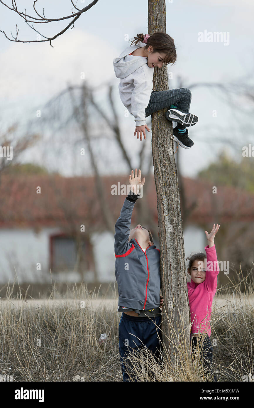 10-year-old girl climbed on a tree and her cousins down. Horizontal shot with natural light Stock Photo
