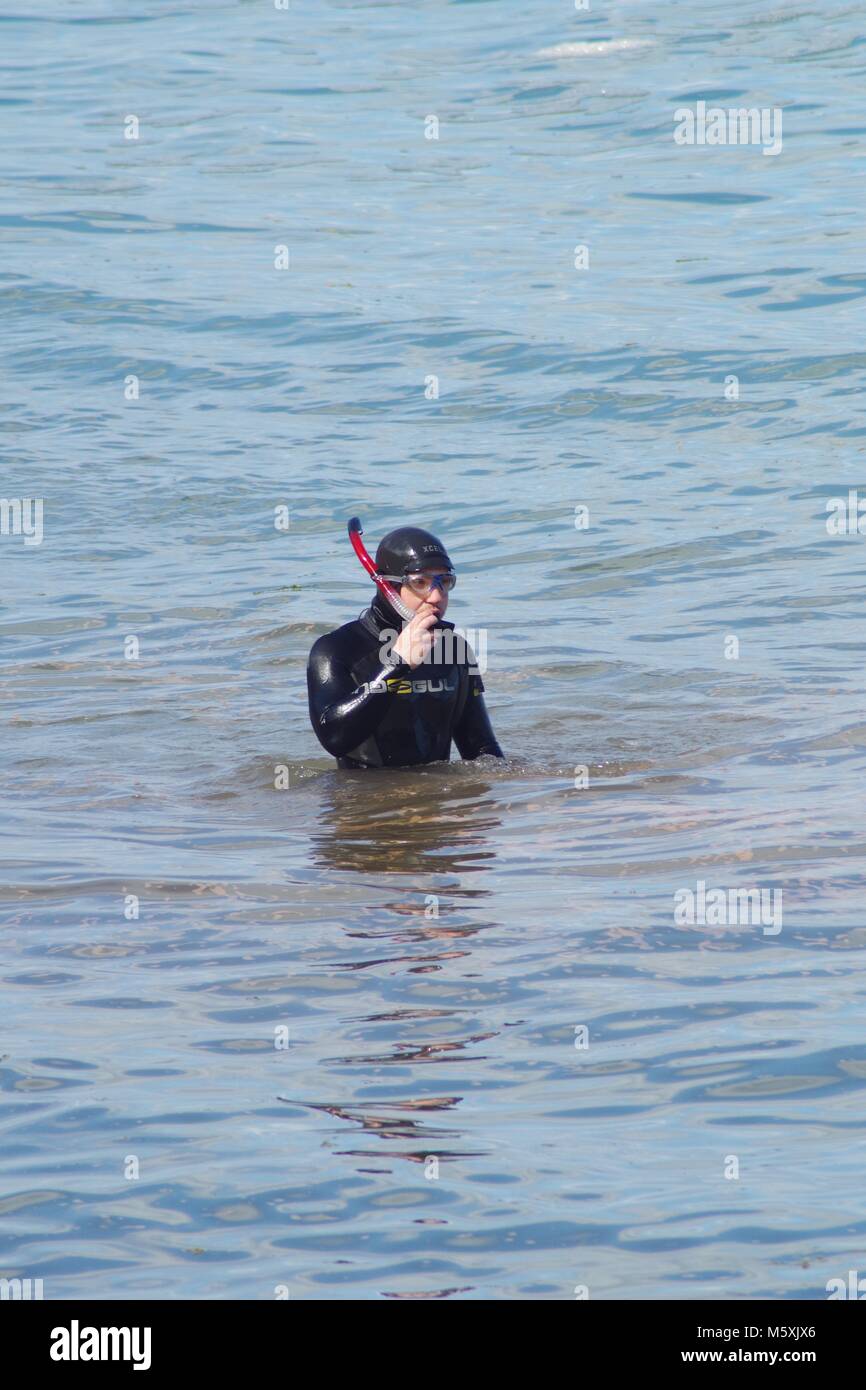 Young Male Snorkeller in Wetsuit Exploring the Submarine World of Beach,