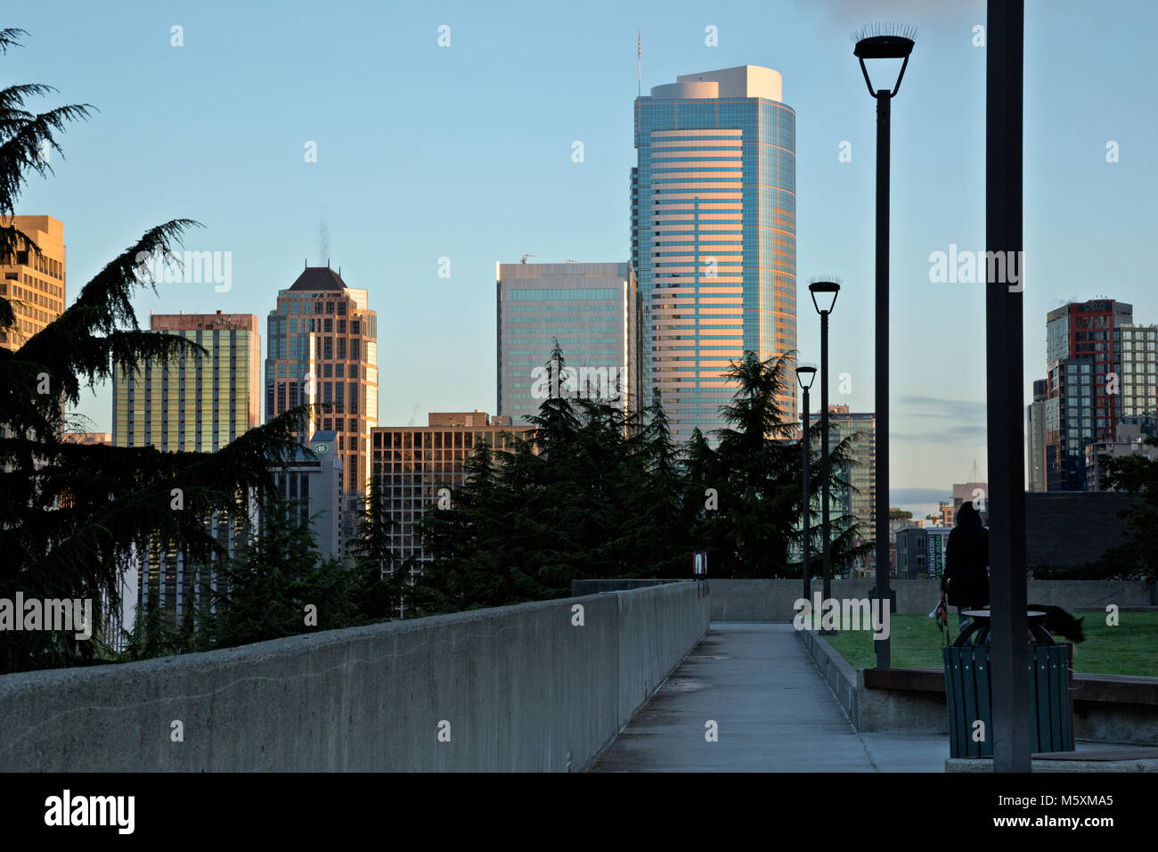 WA13714-00...WASHINGTON - Sunrise view of downtown highrises from Harborview Park in Seattle. 2017 Stock Photo