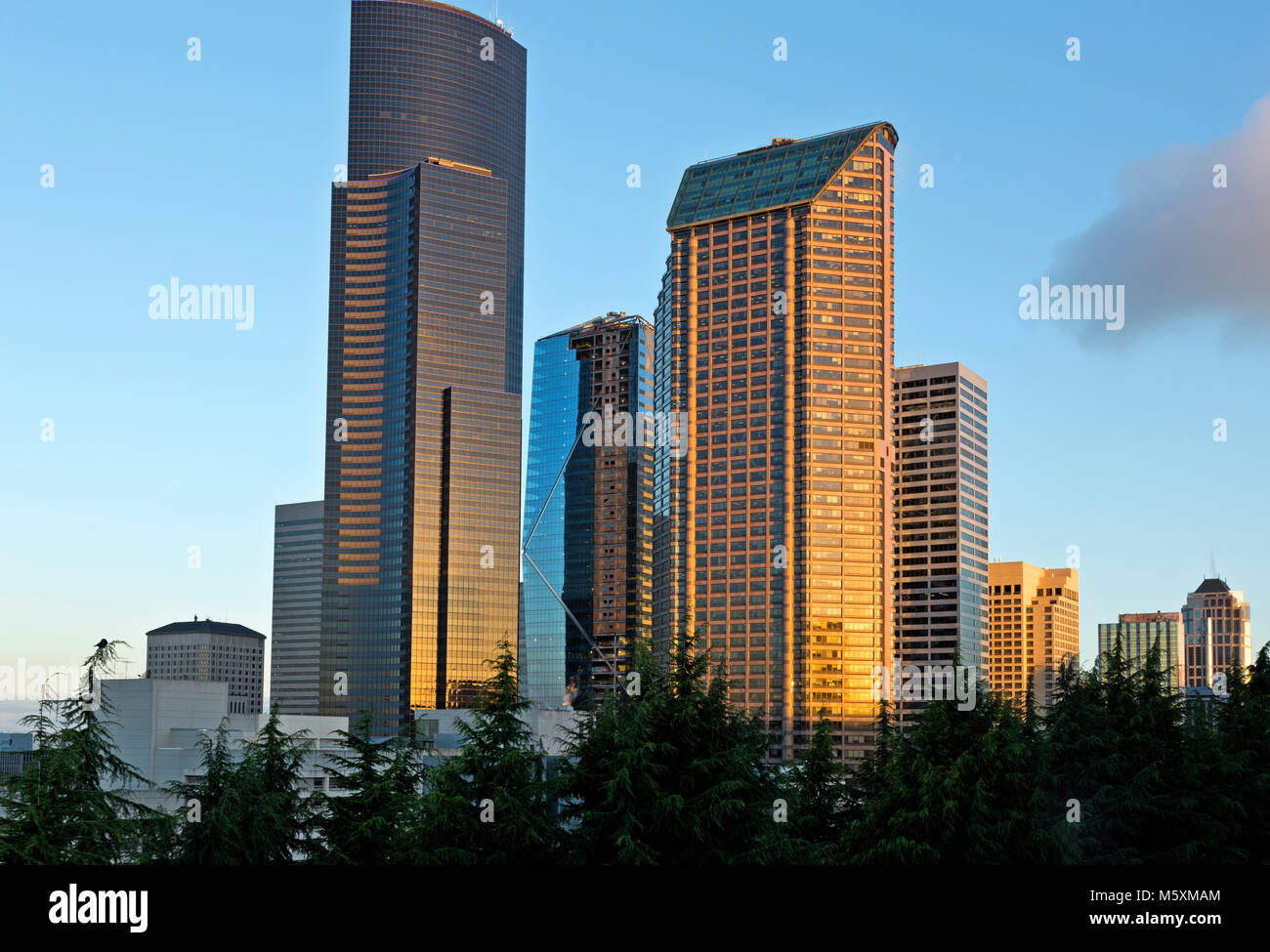 WA13715-00...WASHINGTON - Columbia Center, The Mark and the Seattle Municipal Tower from Harborview Park located on Seattle.2017 Stock Photo