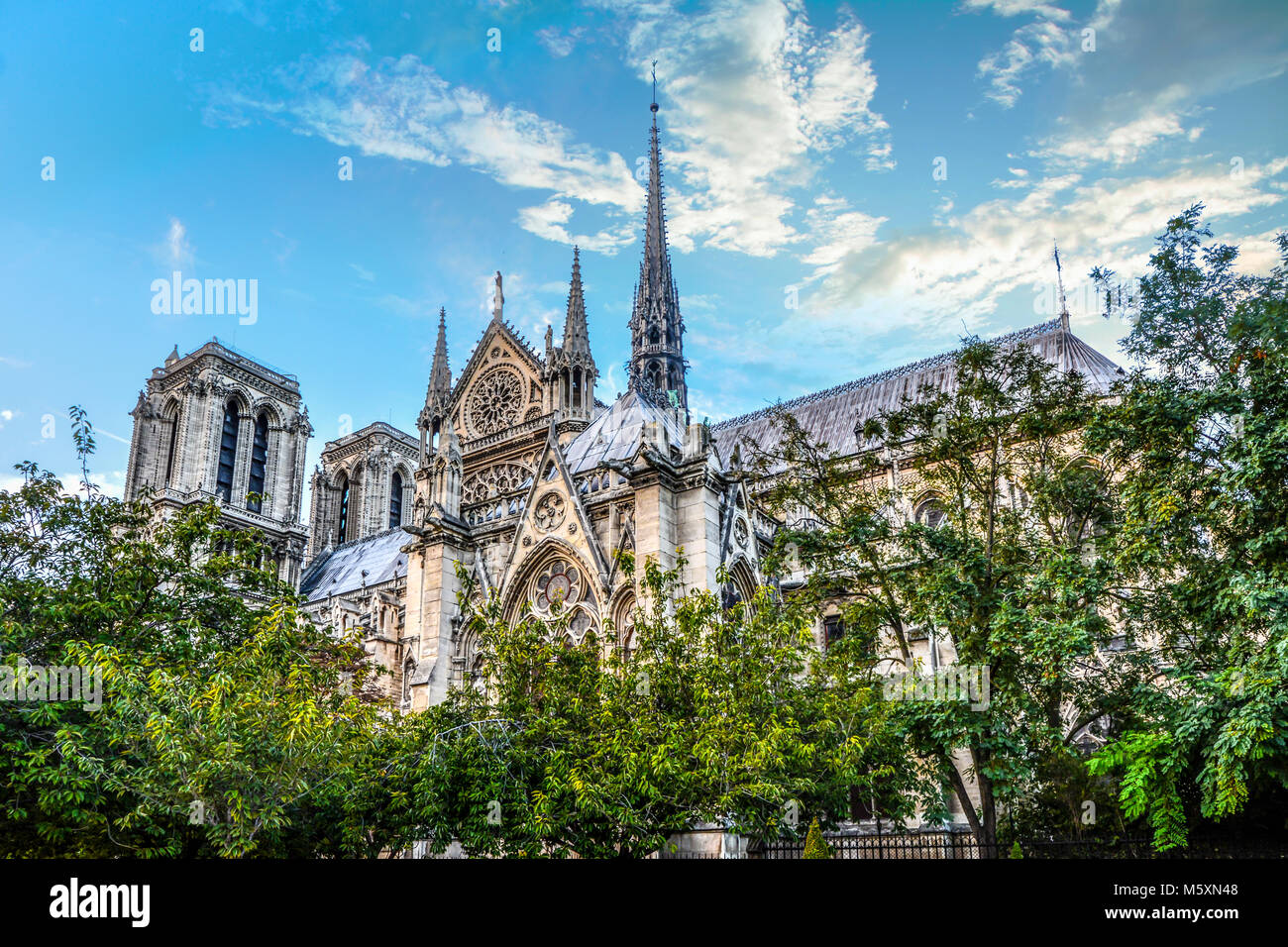 The ornate gothic architecture and spires on the side of Notre Dame Cathedral, Paris France on a sunny summer day with trees in the foreground Stock Photo