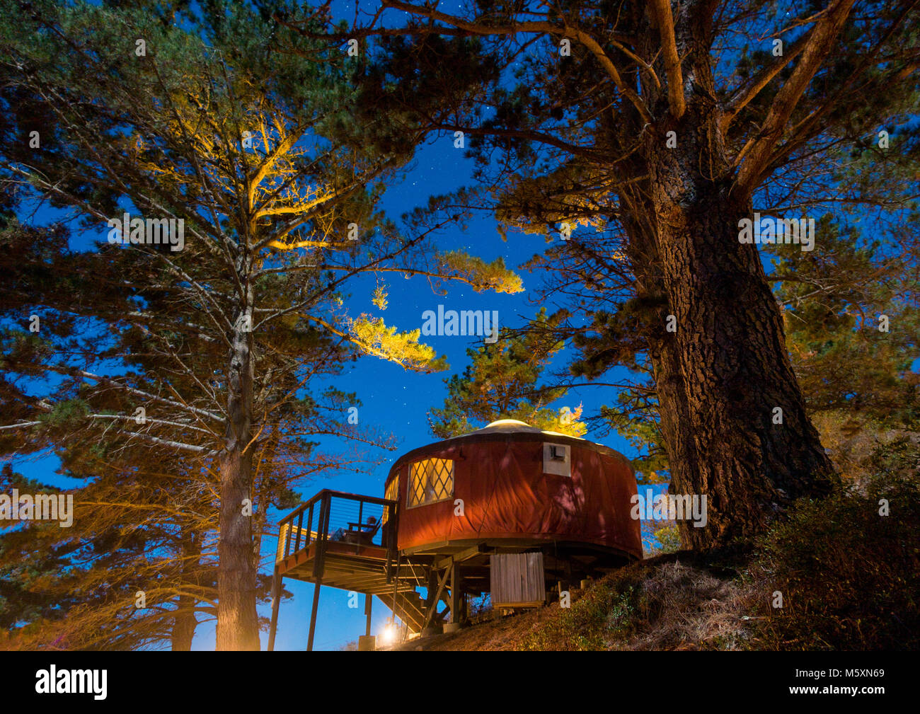 Yurt/tent under starlit sky in the woods, Big Sur, California Stock Photo