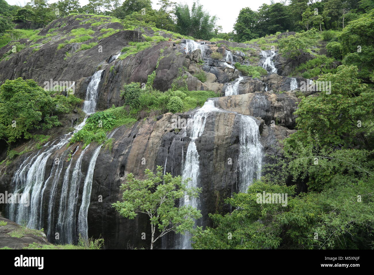 water falls kerala, national park, nature Stock Photo