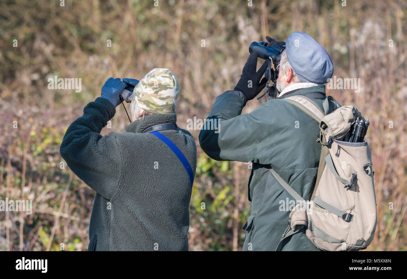 Elderly couple birdwatching looking through binoculars. Senior birdwatchers in the UK. Couple with similar interests. Stock Photo