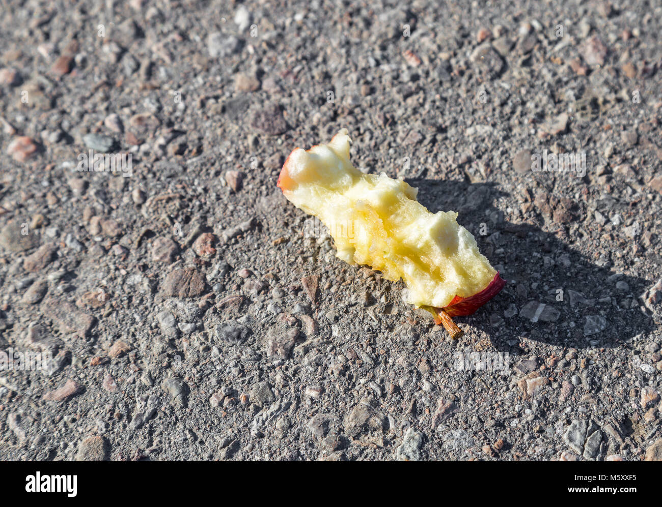 Discarded apple core on the road Stock Photo